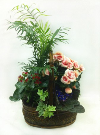 C-02 CESTA DE PLANTAS CON FLOR  